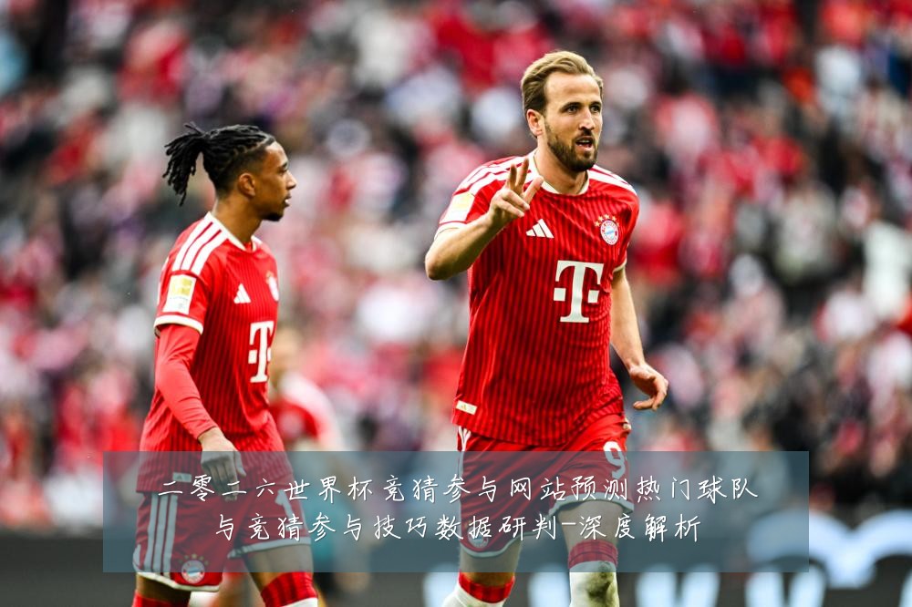二零二六世界杯竞猜参与网站预测热门球队与竞猜参与技巧数据研判-深度解析