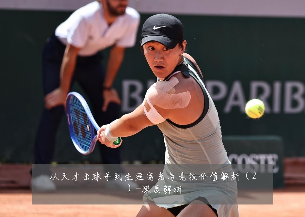 从天才击球手到生涯高光与竞技价值解析(2)-深度解析